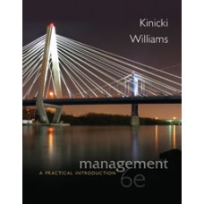 Test Bank for Management A Practical Introduction, 6e Angelo Kinicki